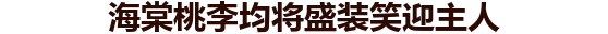 海棠桃李均将盛装笑迎主人